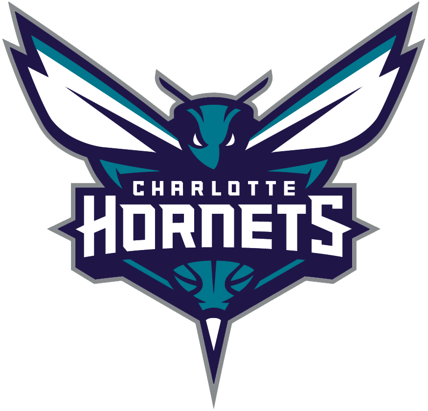 Charlotte Hornets logos iron-ons
